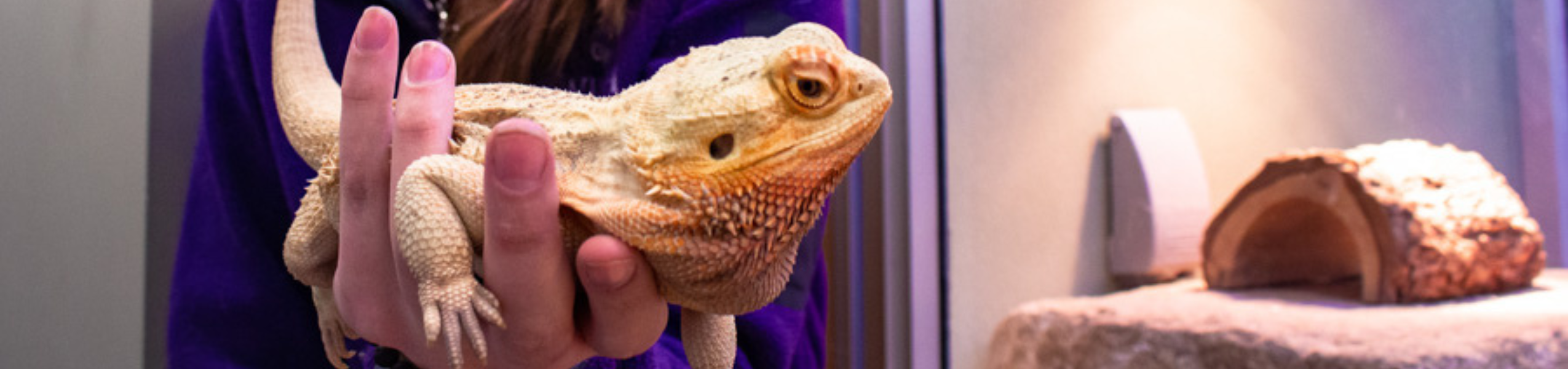 Biology - Life Science (teaching) Program Image